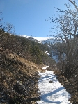 /Ski/2008/Images/1506/mini-Photo FRe 020Icon.jpg